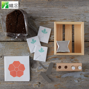 Producto al por Mayor 100% Orgánico Certificado por el USDA, Caléndula, Nasturtium, Flor de Estrella, Menta Limón, Flor Comestible, Kit de Herramientas, Material Digital - Product Image 5