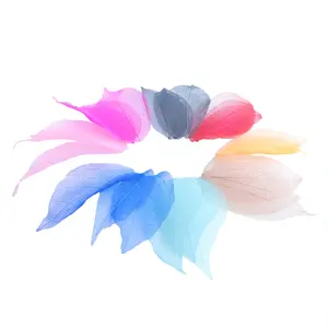 Feuilles séchées pressées style Ins, matériau gaufré pour DIY, feuillage coloré naturellement teint, créatif pour la fête des Mères - Product Image 1