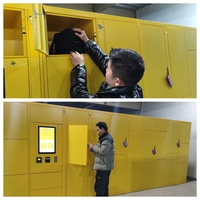 Güvenli Bagaj Depolama Kiosku Özelleştirilebilir Boyut ve Düzenleme Modüler Bagaj Dolabı Kamusal Alanlar İçin