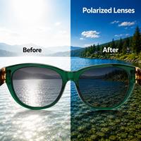 Nouveauté 2026, lunettes de soleil polarisées de luxe unisexes, durables, en bio-acétate, monture ovale intégrale, légères, protection UV400
