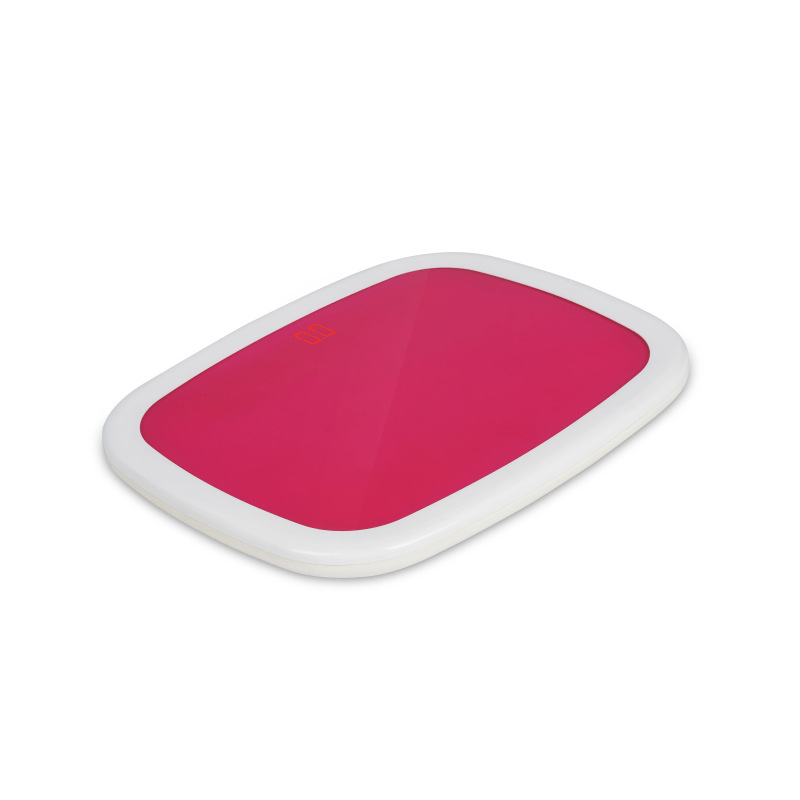 A19H [Rose rouge]