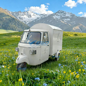 Camion de restauration mobile entièrement équipé, remorque de concession, camion de crème glacée et de pizza, véhicule électrique à vendre - Product Image 3
