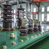 Transformateur de distribution toroïdal immergé dans l'huile triphasé 0,4 kV, entrée 6 kV, haute efficacité, faible perte, sûr pour l'industrie