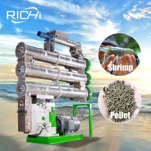 RICHI Machine de fabrication d'aliments pour crevettes et poissons certifiée CE Machine à granulés d'alimentation pour crevettes 1-2 t/h à vendre - Product Image 1