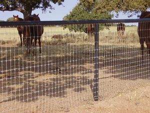 Clôture de jardin galvanisée anti-corrosion, <span class=keywords><strong>grillage</strong></span> durable pour bétail avec ligne de signalisation rouge sur le dessus pour la sécurité des cerfs, des chèvres et des chevaux - Product Image 1