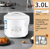 Cuiseur à riz personnalisé pour 3-4 personnes, adapté à un usage domestique, en dortoir, mini cuiseur à riz, pot antiadhésif, cuiseur à riz