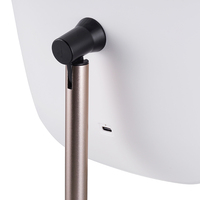Nouvelle arrivée Miroir cosmétique portable à usages multiples Miroir de table LED blanc ovale en ABS sur un seul côté