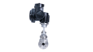 Actuador Básico Tipo On/Off 380 VCA WCB Globe DN50 2 Pulgadas PN16 Modelo HEM - Product Image 4