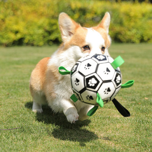 ZHONGYA 2026 Palloni da Calcio Personalizzati per <span class=keywords><strong>Cani</strong></span>, Palloni Luminosi per Allenamento, Forniture per Animali Domestici, Accessori per Animali all'Ingrosso dalla Fabbrica - Product Image 5