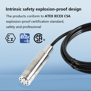 Cảm Biến Mức Nhiên Liệu Diesel Chìm Holykell 4-20ma Rs485 - Product Image 5