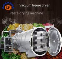 Commerciële fruitvriesdroogmachine industriële vacuümvriesdroger 20kg 30kg 50kg 160kg