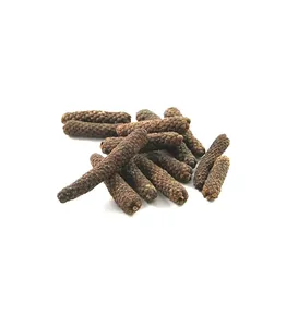 ผงพริกไทยยาวไพเพอร์ Longum,เครื่องเทศและสมุนไพรความต้องการสูงสำหรับอเนกประสงค์ - Product Image 3