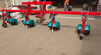 Machine agricole à 2 rangs, 3 rangs, 4 rangs entraînée par tracteur Maïs et maïs Cultivateur de plein champ Désherbeur