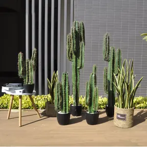 Simulation Of Green Plant Cactus Flower Potted Combination Landscape Decoration Shooting Props Display Artificial Cactus