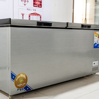 Congélateur coffre horizontal commercial à refroidissement direct, affichage numérique, température unique, 110V-130V, prise européenne