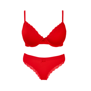 Conjuntos <span class=keywords><strong>de</strong></span> lencería <span class=keywords><strong>de</strong></span> encaje con aros Sexy para <span class=keywords><strong>mujer</strong></span> <span class=keywords><strong>de</strong></span> alta calidad, sujetador con lazo frontal con bragas <span class=keywords><strong>de</strong></span> Bikini, logotipo <span class=keywords><strong>de</strong></span> patrón sólido sin costuras <span class=keywords><strong>en</strong></span> <span class=keywords><strong>la</strong></span> cintura - Product Image 3