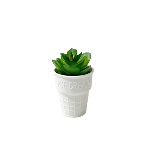 Plante succulente artificielle en pot dans un bol à glace, mini décoration de bureau, verdure pour la maison, décoration de table de bureau - Product Image 5