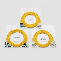Câble de brassage fibre optique 16 cœurs OS2 SM MPO vers LC Fan-Out LSZH 2x8 8xLC, haute vitesse 100G, 50cm