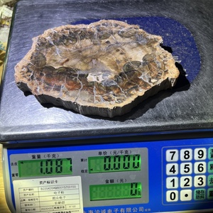 Vente chaude en vrac en bois brut grandes dalles fossiles en bois pétrifié en bois pétrifié poli pour ornement - Product Image 6