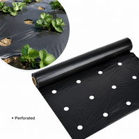Rouleaux de film plastique LDPE noir robuste de 30 microns, 1,5 m x 500 m, stabilisé aux UV, pour couverture du sol destinée à la culture de tomates et de fraises