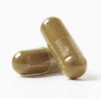 Puissant brûleur de graisse nocturne, coupe-faim, bloqueur de glucides, stimulant du métabolisme, perte de poids naturelle pour adolescents
