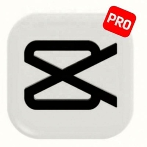 <span class=keywords><strong>บัญชี</strong></span> Capcut Pro Premium แบบพรีเมียม 1 เดือน ซอฟต์แวร์ตัดต่อวิดีโอ - Product Image 3