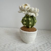 Plante en pot de cactus en coton fait main de qualité supérieure - Succulente artificielle durable et écologique pour la maison, Thanksgiving