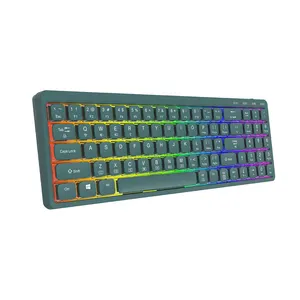 لوحة مفاتيح ميكانيكية منخفضة المظهر مكونة من 78 مفتاحًا أغطية مفاتيح مزدوجة الحقن، ويمكن تخصيص اللون لوحة مفاتيح ميكانيكية RECE BT
