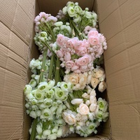 Bunga Ranunculus Mini 6 Tangkai Grosir LE-345, Bunga Ranunculus Sutra Imitasi untuk Buket Pengantin & Dekorasi Meja Acara