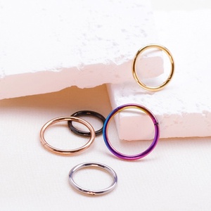 Anneau <span class=keywords><strong>de</strong></span> <span class=keywords><strong>nez</strong></span> rond sans soudure en titane G23, simple, électroplaqué, pour hommes et femmes, bijou <span class=keywords><strong>de</strong></span> piercing <span class=keywords><strong>de</strong></span> <span class=keywords><strong>nez</strong></span> à <span class=keywords><strong>boucle</strong></span> fermée - Product Image 2