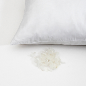 Wholesale White Goose Down Feather Decorative Throw <strong>Pillow</strong> Insert Square Fluffy <strong>Euro</strong> <strong>Pillow</strong> Cushion Insert - Product Image 6