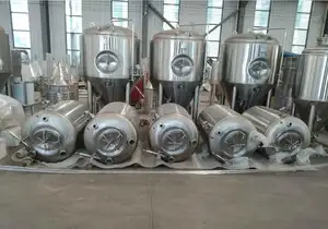 High Quality Bright Beer Brite Tank Beer Brewery Equipment Microbrewery 500L 1000L 2000L