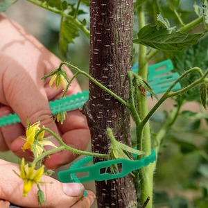Attaches de plantes réglables, attaches flexibles pour plantes de jardin, clip de tige vert pour <span class=keywords><strong>support</strong></span> d'escalade d'arbres de jardin, vigne, tomate - Product Image 4