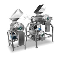Tomaat Plakken Verwerking Machine/Mango Fruit Dunschiller Zaad Verwijderen Pulping Machine
