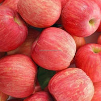 Goede leverancier verse Fuji appels exportprijs doos zoete smaak graad 1 maat 6cm 20kg oorsprong Shandong