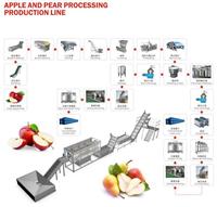 Industriële Nfc Verse Guave Sap Maken Machine Verwerkingslijn Fabriek