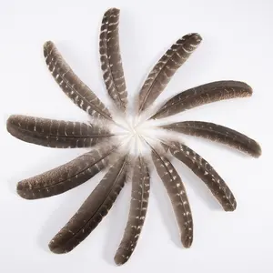 All'ingrosso 25-30 cm naturale sfuso di piume di tacchino pennacchi d'oca per cappelli artigianali