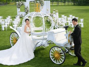 รถม้าแต่งงานสไตล์ยุโรปสุดหรูหรา ดีไซน์ฟักทอง ขายตรงจากโรงงาน - Product Image 3
