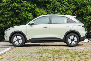 Mini <span class=keywords><strong>auto</strong></span> a buon mercato 2025 Geely GEOME 2025 modello 310km edizione della gioventù Mini <span class=keywords><strong>auto</strong></span> elettrica nuova - Product Image 5