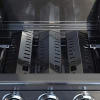 Barbecue à gaz naturel/GPL 5 brûleurs 30 pouces en acier inoxydable 304 noir titane 50000 BTU à allumage électronique pour usage en cuisine