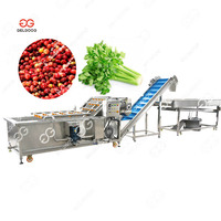 Fruit En Groente Wasmachine Ozonreiniger Prijs Groente Fruit Poets Reinigingsmachine Wolfberry Cactusvijg Wasmachine