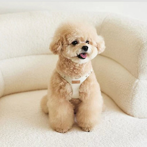 Zenos Korean INS Style Soft Dog Harness Vest with Leash Set, No-Pull Adjustable <b>Chest</b> Harness for <b>Small</b> Dogs Bichon Teddy Puppy - Product Image 2