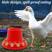1.5kg/2.5kg/3.5kg automatique poulet mangeoire seau caille Pigeon mangeoire poulet alimentation seau volaille animaux alimentation outils