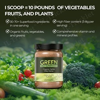 Poudre de superaliments végétaliens Julong OEM à saveur chocolat faible en glucides pour la détoxification et le soutien immunitaire
