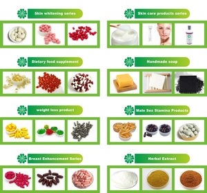 Hot Custom Logo Alpha GPC L-Theanine Brain <span class=keywords><strong>Supplements</strong></span> Boost Concentration <span class=keywords><strong>Memory</strong></span> para adultos y mujeres embarazadas - Product Image 6