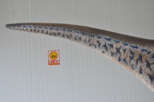 Modèle de dinosaure réaliste, costume de dinosaure pour aire de jeux, spectacle de dinosaures, parc extérieur, personnalisé, fait main, <span class=keywords><strong>Jurassic</strong></span> <span class=keywords><strong>Park</strong></span> - Product Image 4