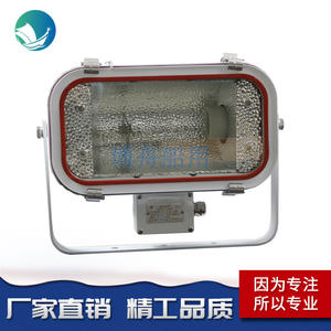 Reflector Marino RGB Bozhou TG69A-N250 para Iluminación de Muelles de Barcos de Pesca, Clasificación IP68 IP65, Emisión Verde, Aluminio, Disponible Ahora - Product Image 2