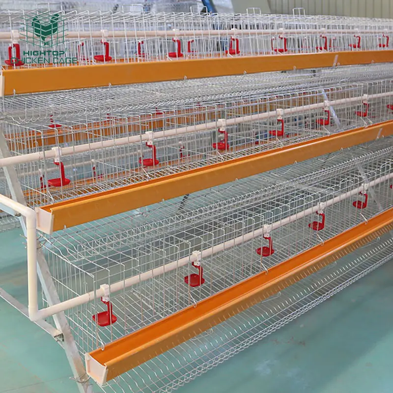 Hightop-jaula para gallinas ponedoras de 3 niveles, 96 niveles, capacidad para aves, bebedero para pezones, en venta