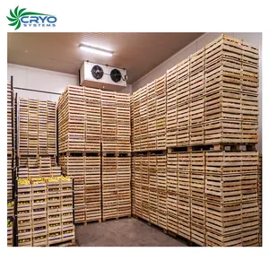 veal meat frozen australia lamb meat freezer room china cold room sale cold room refrigeration units