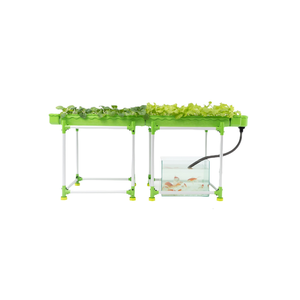 ชุดระบบ aquaponic ขนาดใหญ่สำหรับปลูกผักใบในเรือนเพาะปลูกทางการเกษตร - Product Image 2